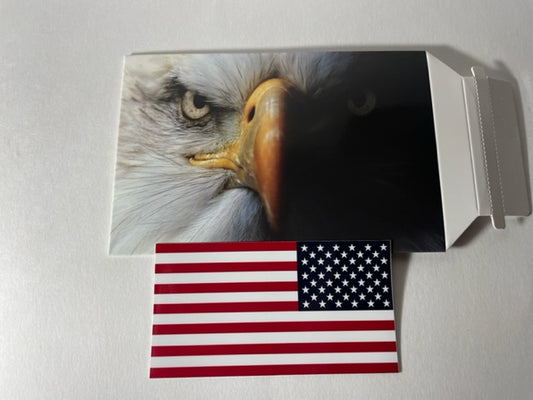 2 1/4" x 4 1/4" American Flag Sticker Reverse